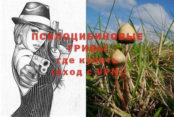а пвп мука Аркадак
