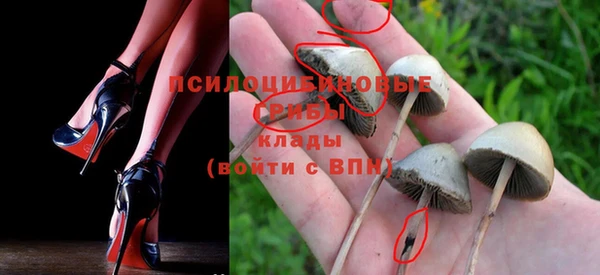 мдпв Арсеньев