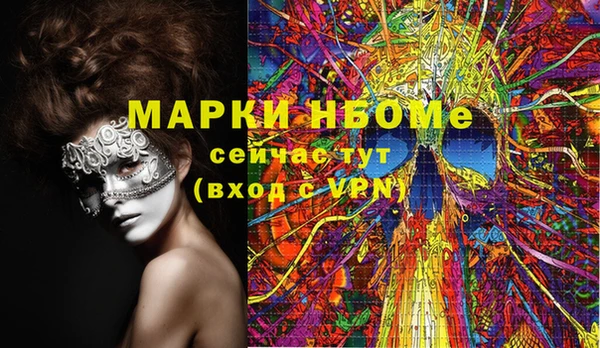 мдпв Арсеньев