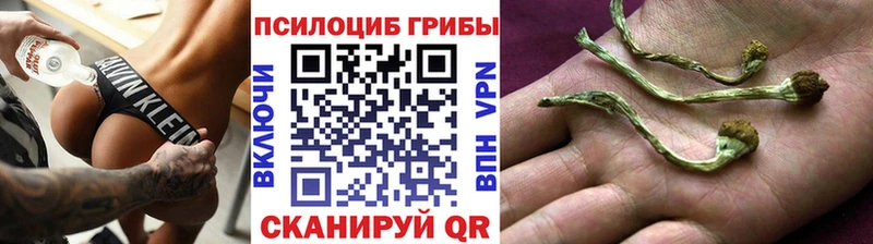 Псилоцибиновые грибы Magic Shrooms  Сосновоборск 